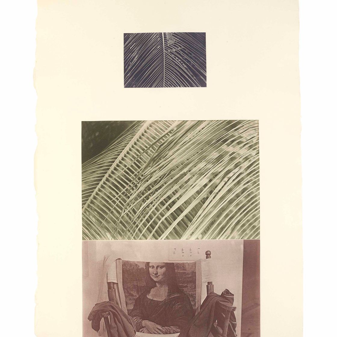 Robert Rauschenberg — Гравюра V из коллекции Razorback