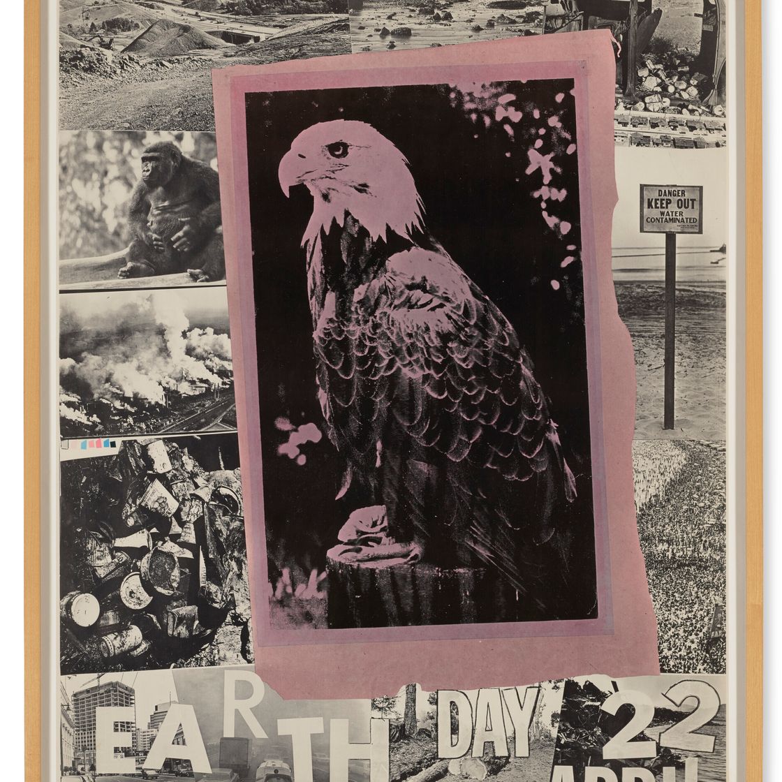 Robert Rauschenberg — Плакат ко Дню Земли