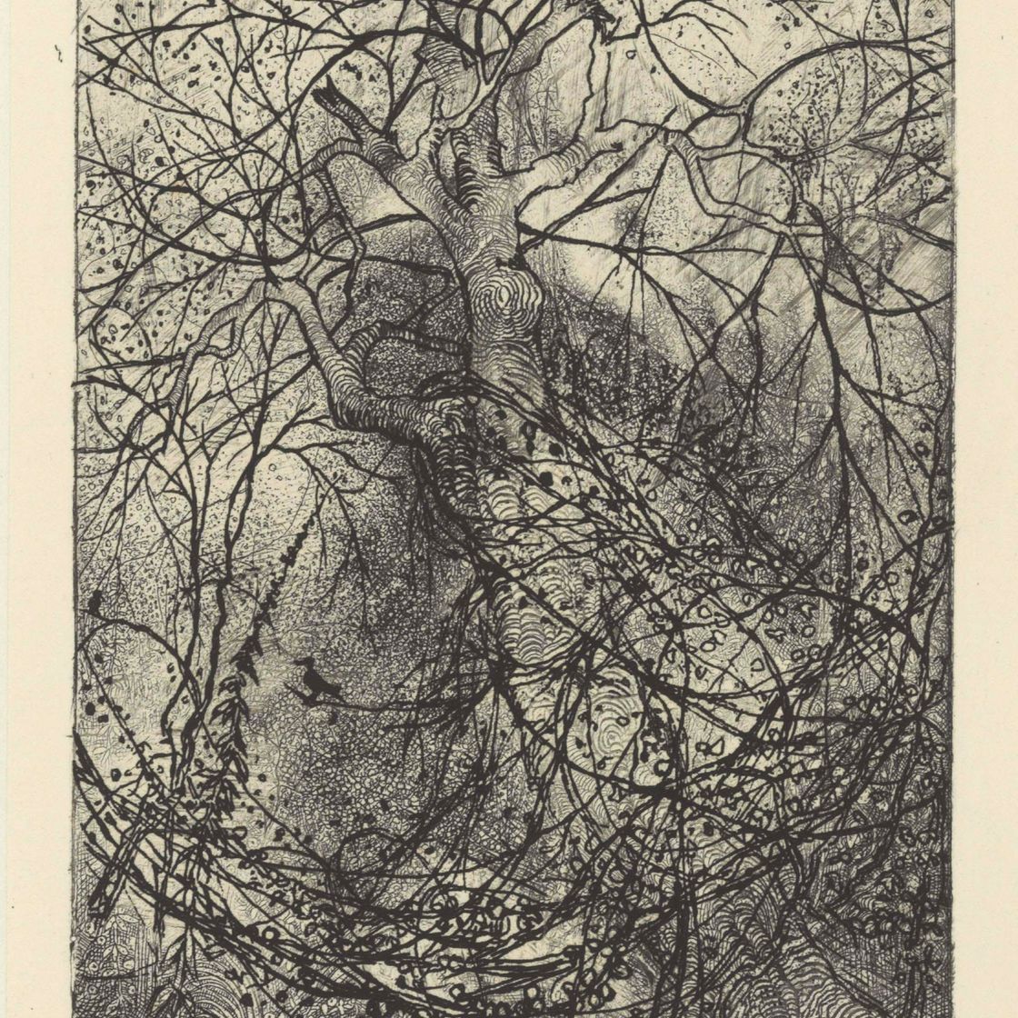 Rodolphe Bresdin — Ответвления