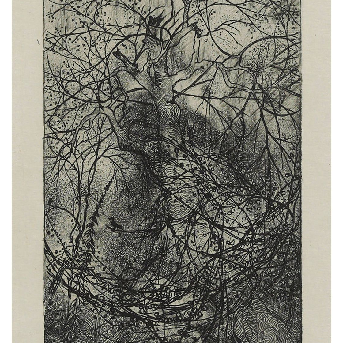 Rodolphe Bresdin — Ответвления
