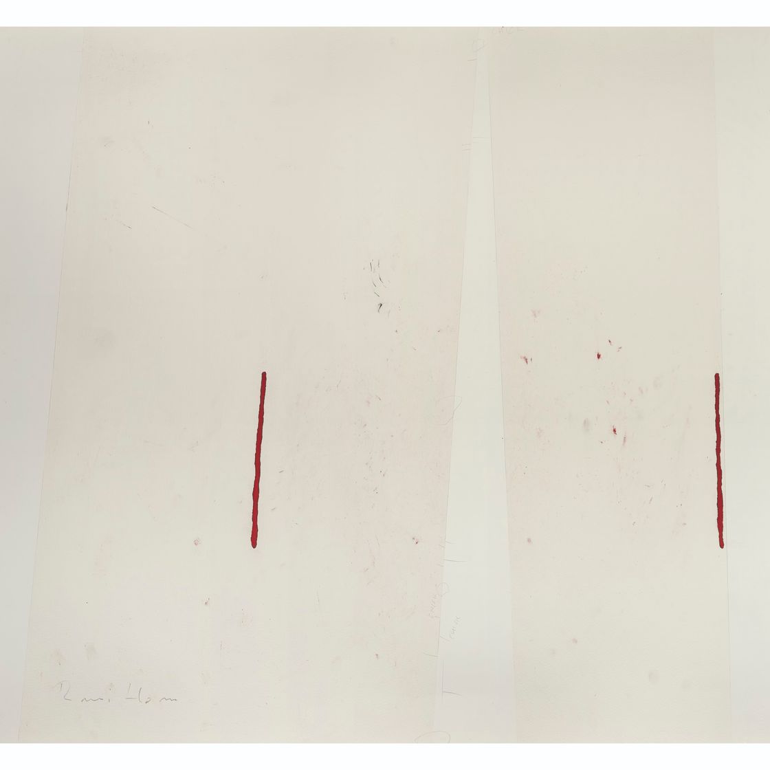 Roni Horn — Без названия