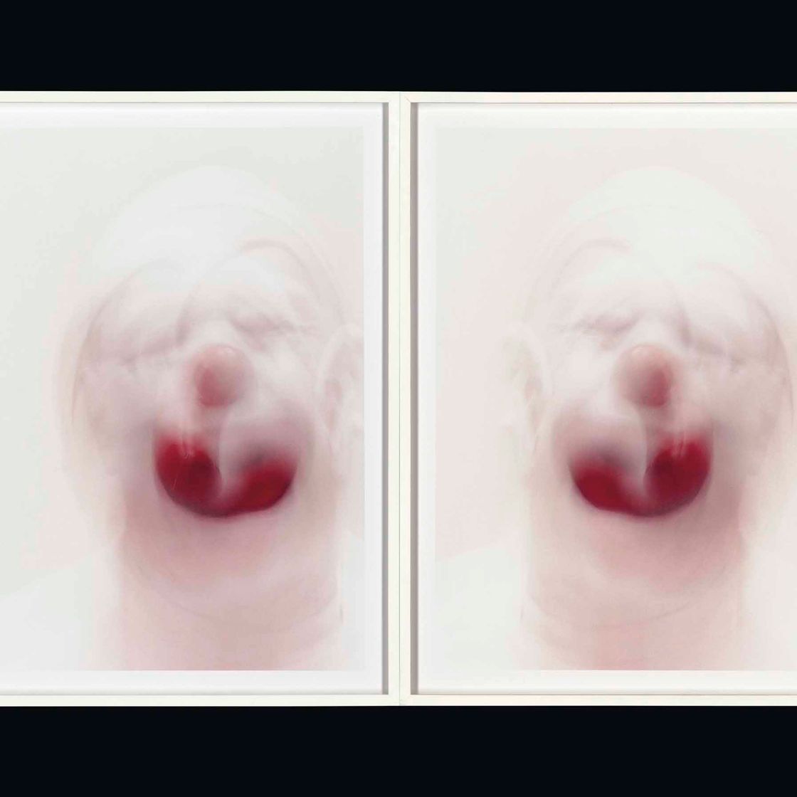 Roni Horn — Клоунское зеркало (9)