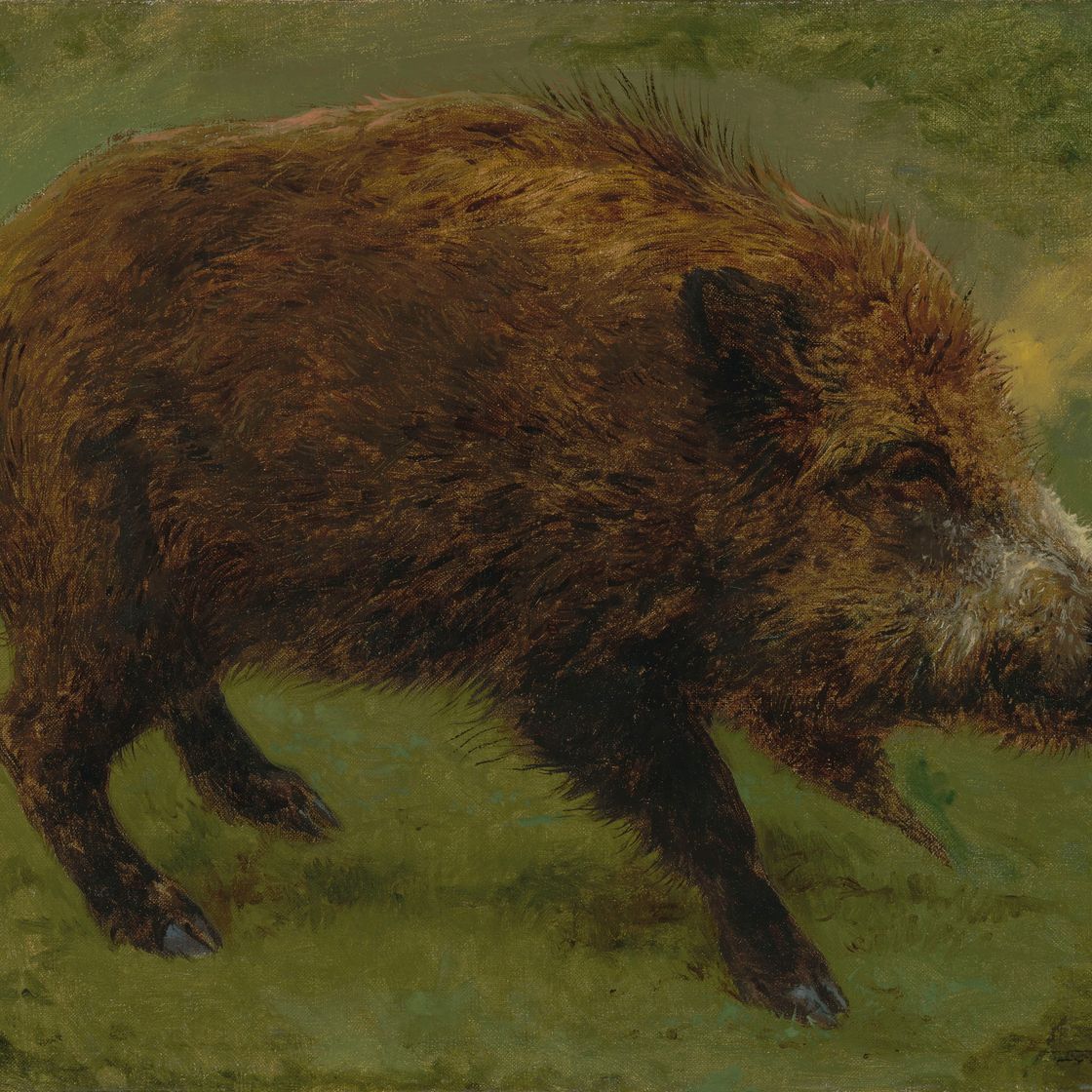 Rosa Bonheur — Ле санглье