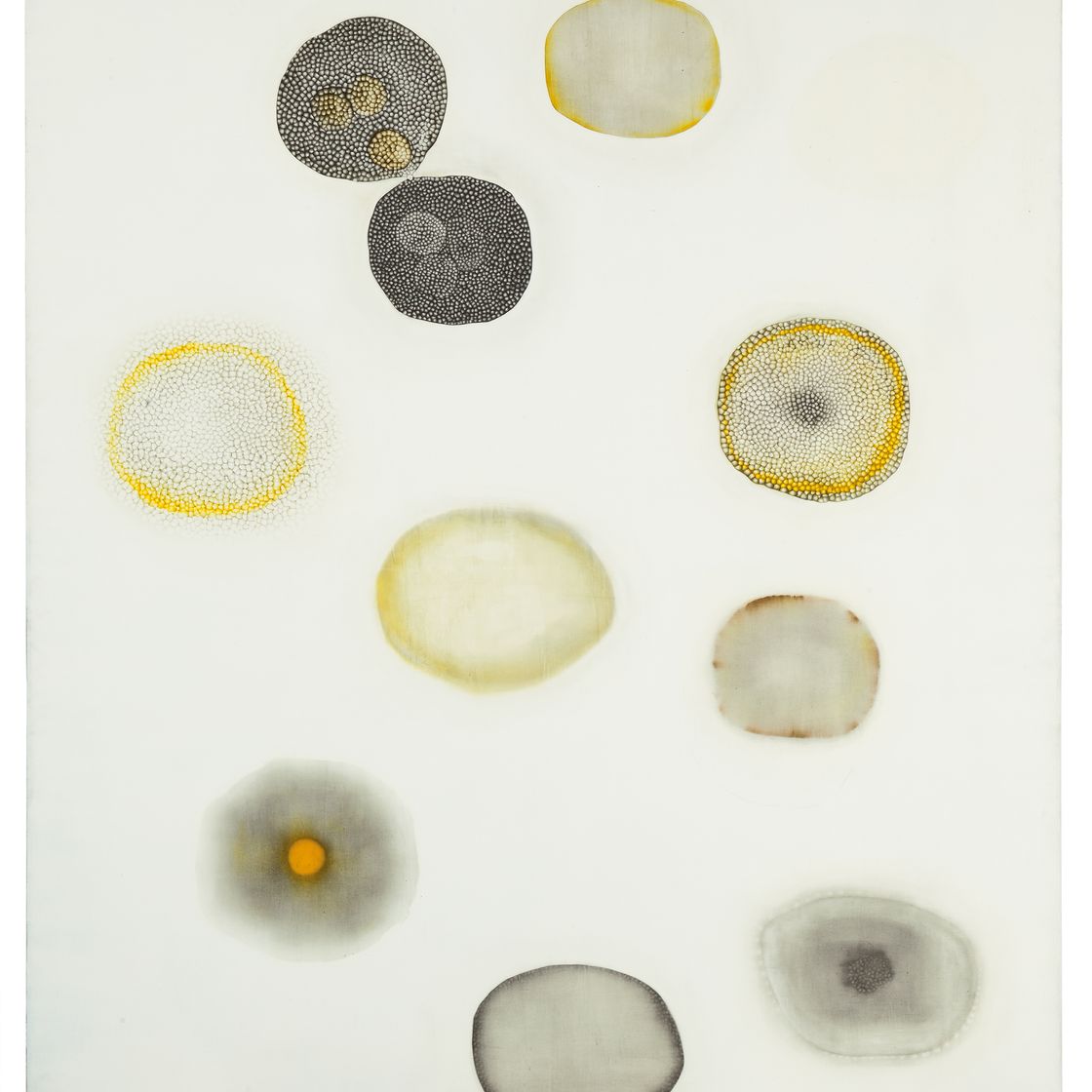 Ross Bleckner — Индукционный