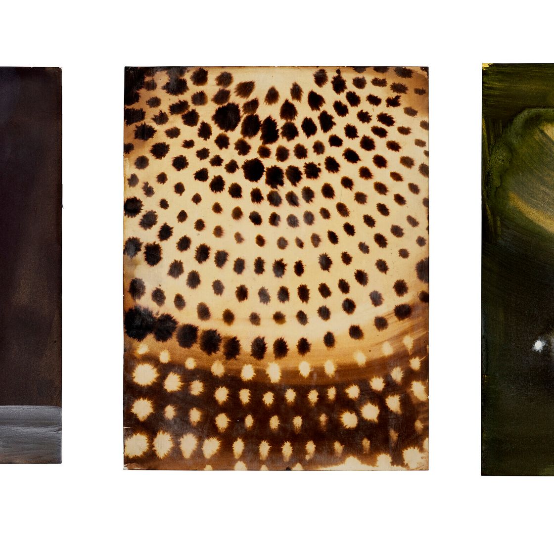 Ross Bleckner — Без названия, изображение 1