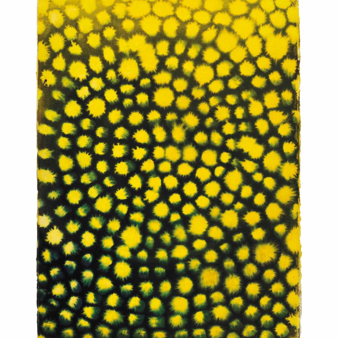 Ross Bleckner — Без названия