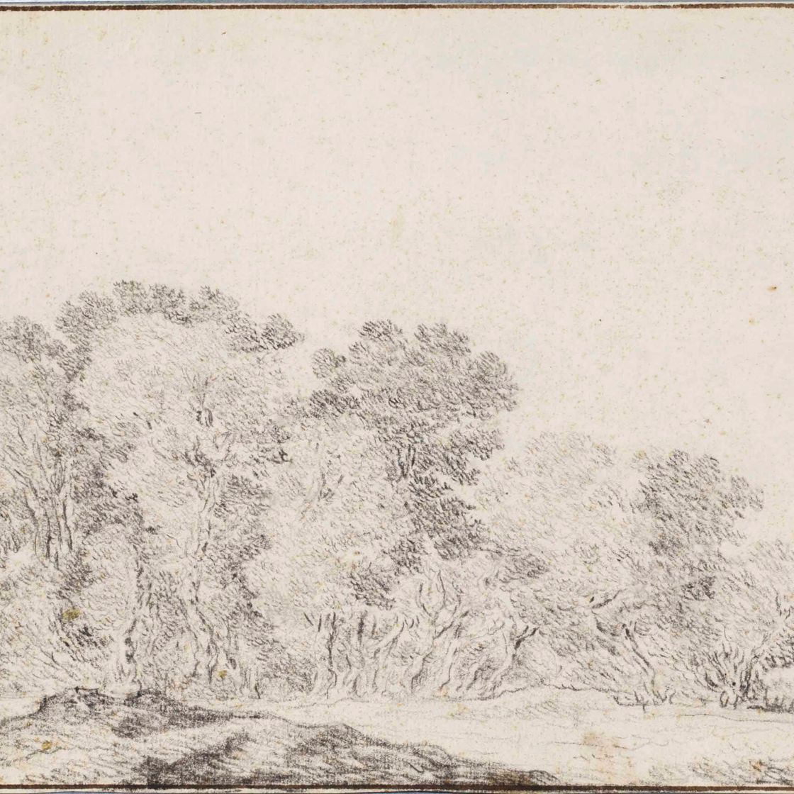 Salomon Van Ruysdael — Лесистый пейзаж
