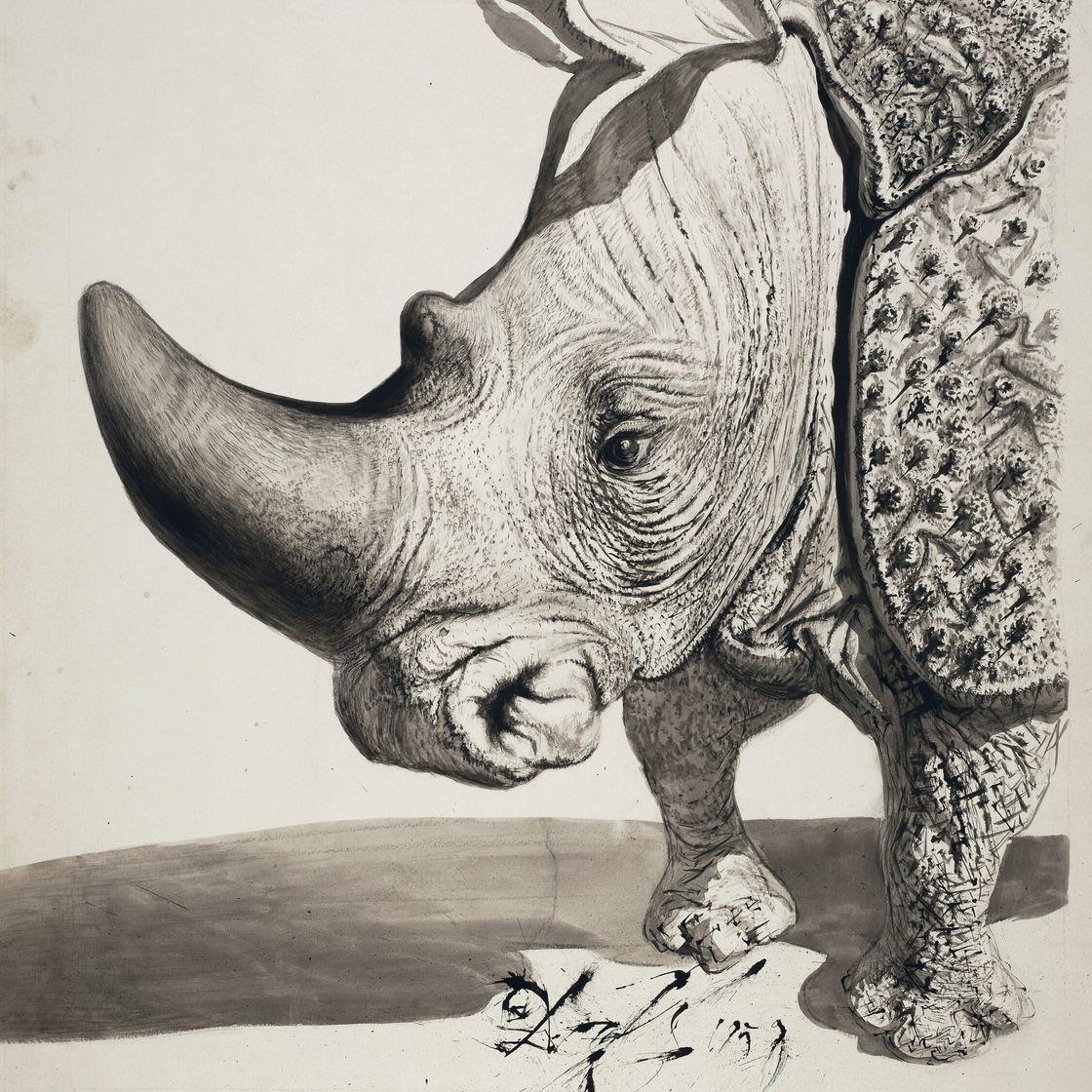 Salvador Dalí — Носорог (прямая сторона); Этюд для носорога (оборотная сторона), изображение 1