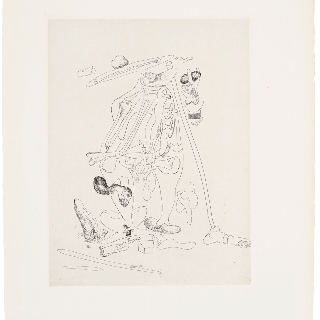 Salvador Dalí — Песни Мальдорора, изображение 13