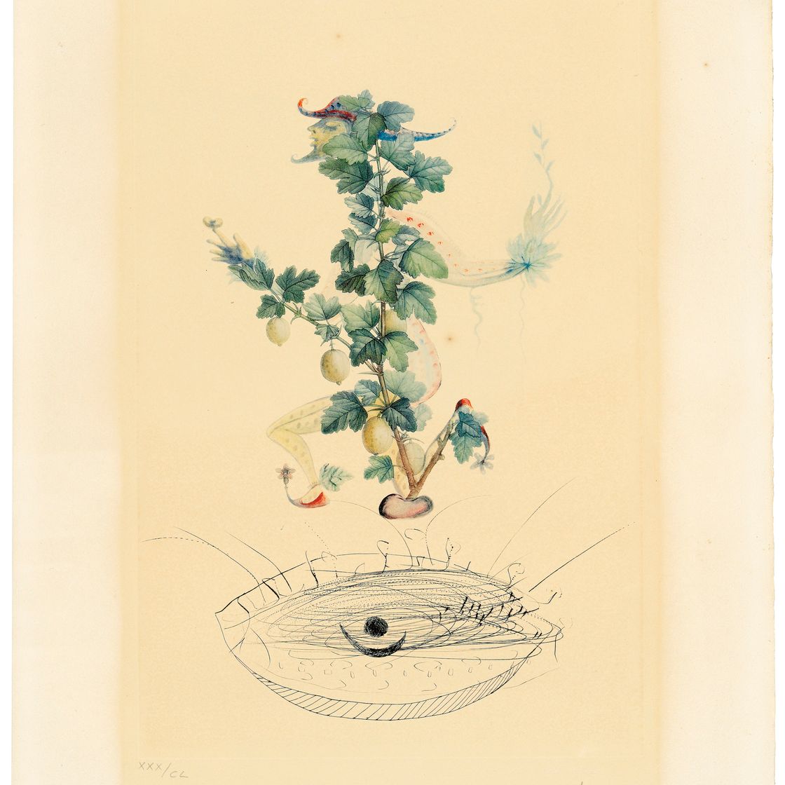 Salvador Dalí — Флордали (Лес фруктов), изображение 11