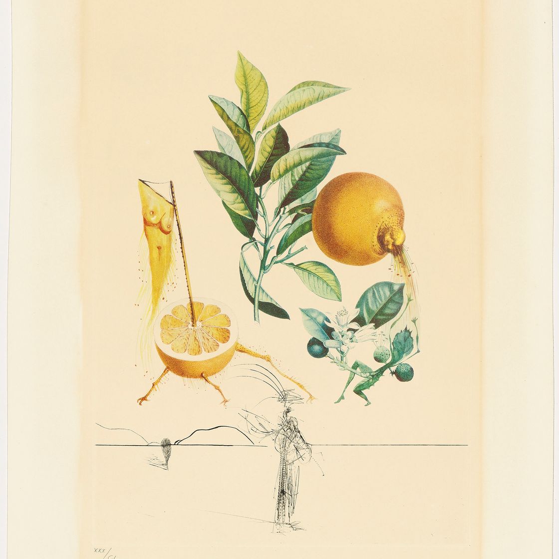 Salvador Dalí — Флордали (Лес фруктов), изображение 12