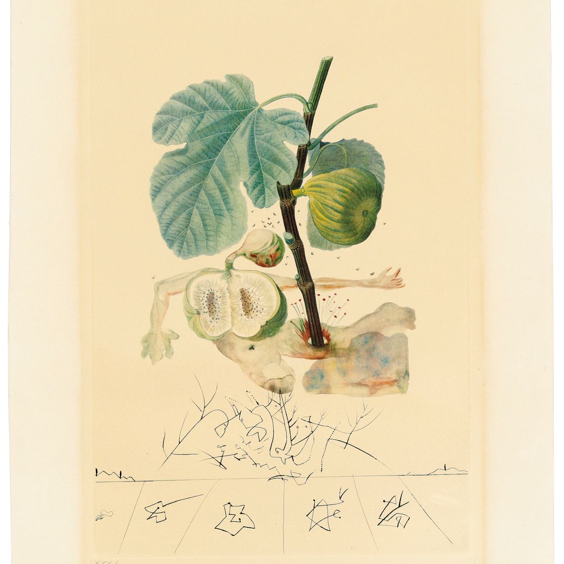 Salvador Dalí — Флордали (Лес фруктов), изображение 5