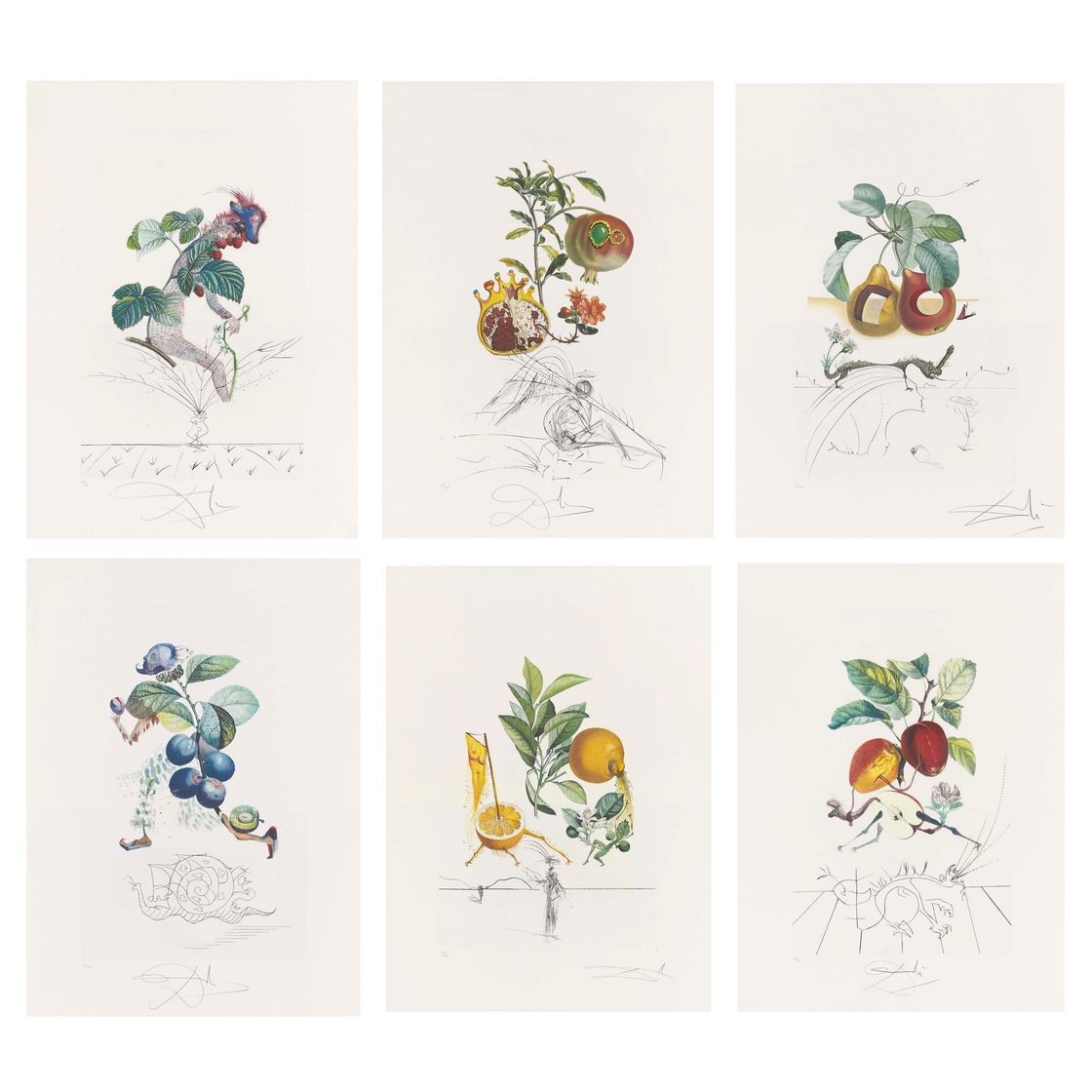 Salvador Dalí — Десять тарелок от: FlorDali ("Лесные фрукты") (M. & L. 344, 346-7, 349-355), изображение 1