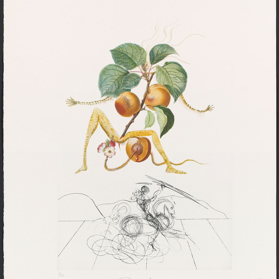 Salvador Dalí — Десять тарелок от: FlorDali ("Лесные фрукты") (M. & L. 344, 346-7, 349-355), изображение 3