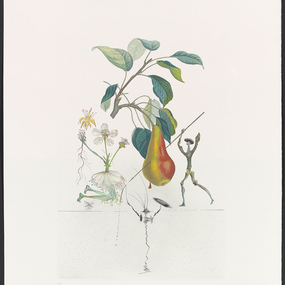 Salvador Dalí — Десять тарелок от: FlorDali ("Лесные фрукты") (M. & L. 344, 346-7, 349-355), изображение 4