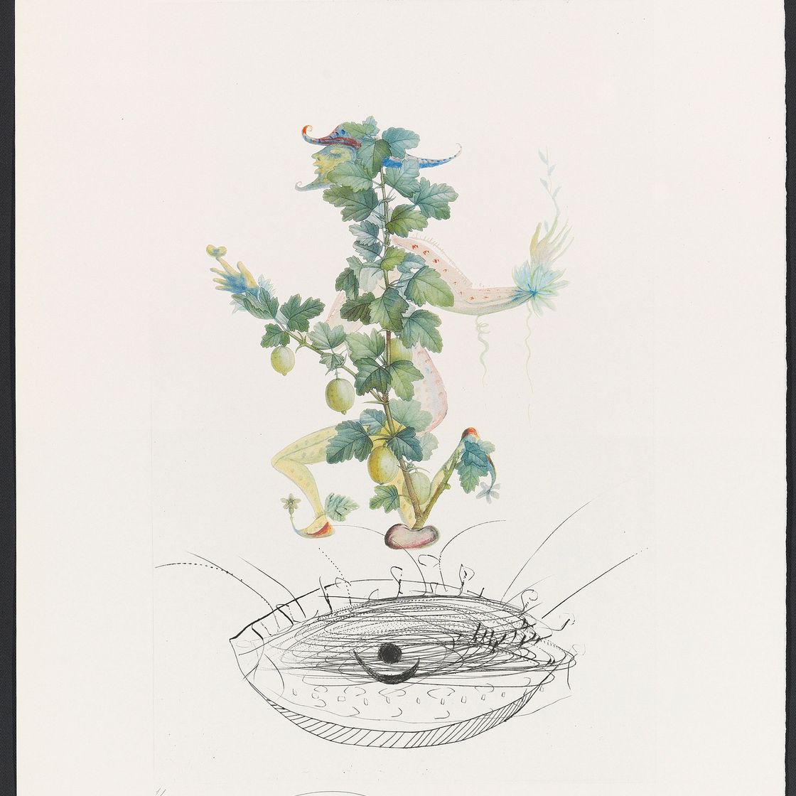 Salvador Dalí — Десять тарелок от: FlorDali ("Лесные фрукты") (M. & L. 344, 346-7, 349-355), изображение 5
