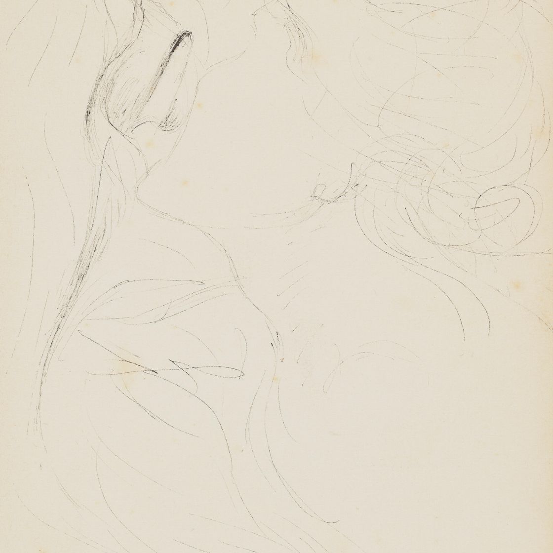Salvador Dalí — Женщина-человек с воздушным флером, символ любви., изображение 1