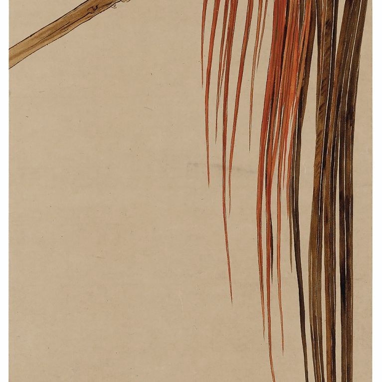 Shibata Zeshin — Длиннохвостый петух