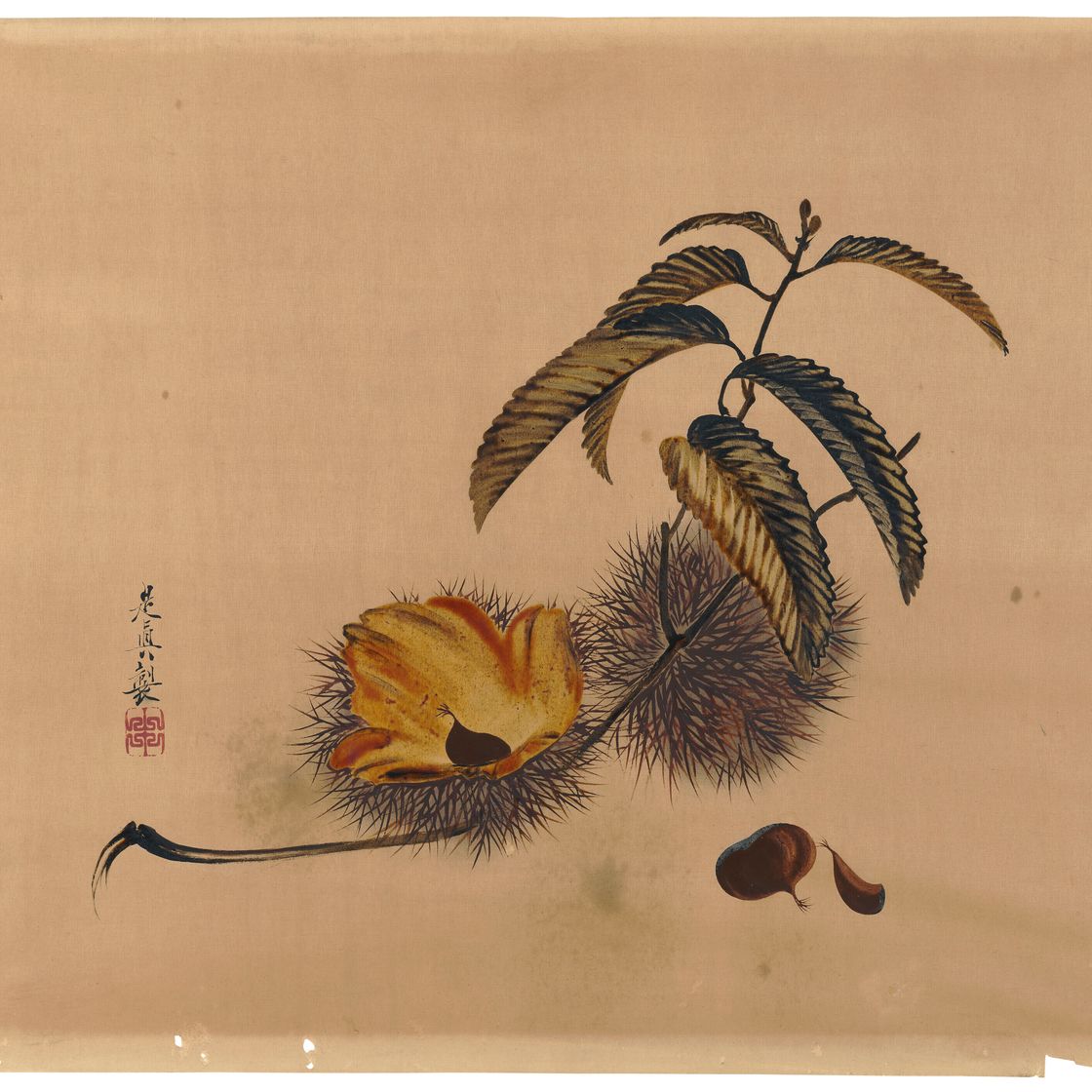Shibata Zeshin — ШАТЕНЬ, изображение 1