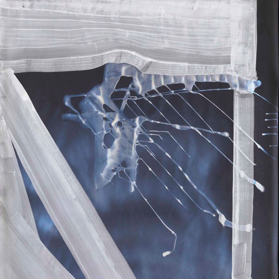 Sigmar Polke — Без названия