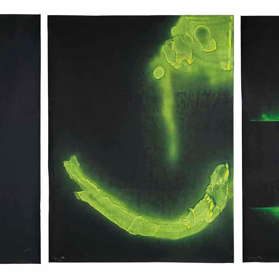 Sigmar Polke — Углерод для Европы.