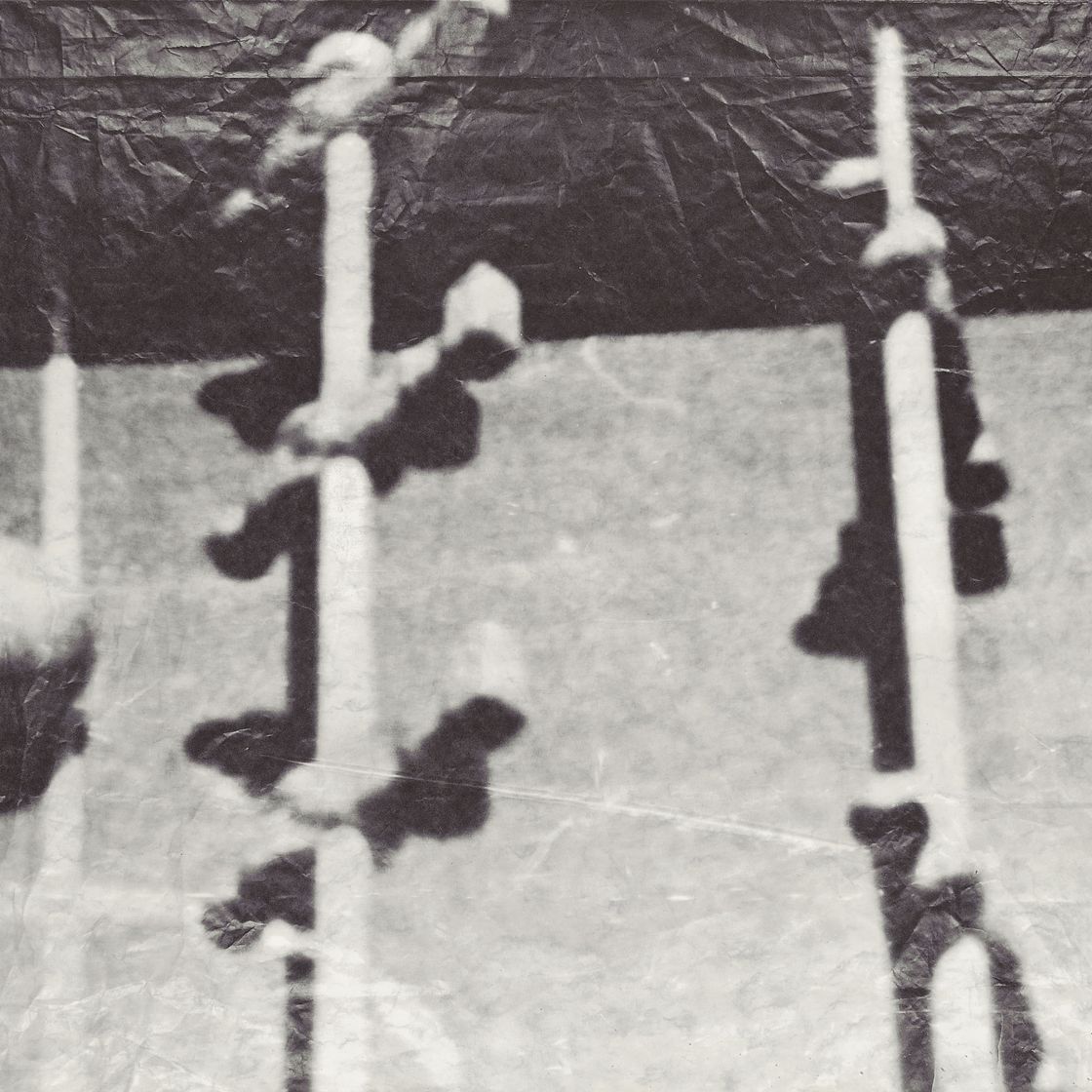 Sigmar Polke — Ферншильд (Кикер) Я, изображение 1