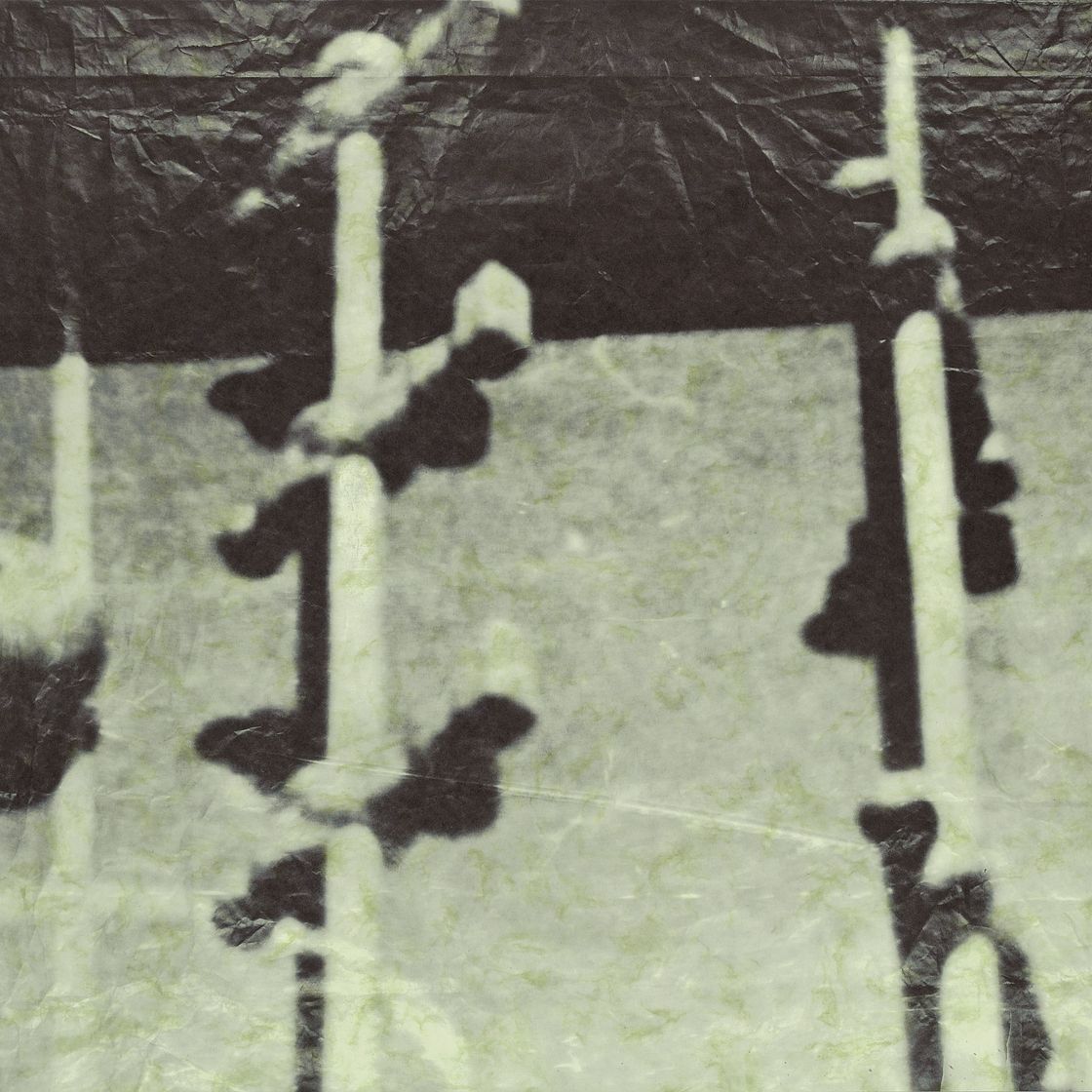 Sigmar Polke — Ферншильд (Кикер) Я, изображение 2