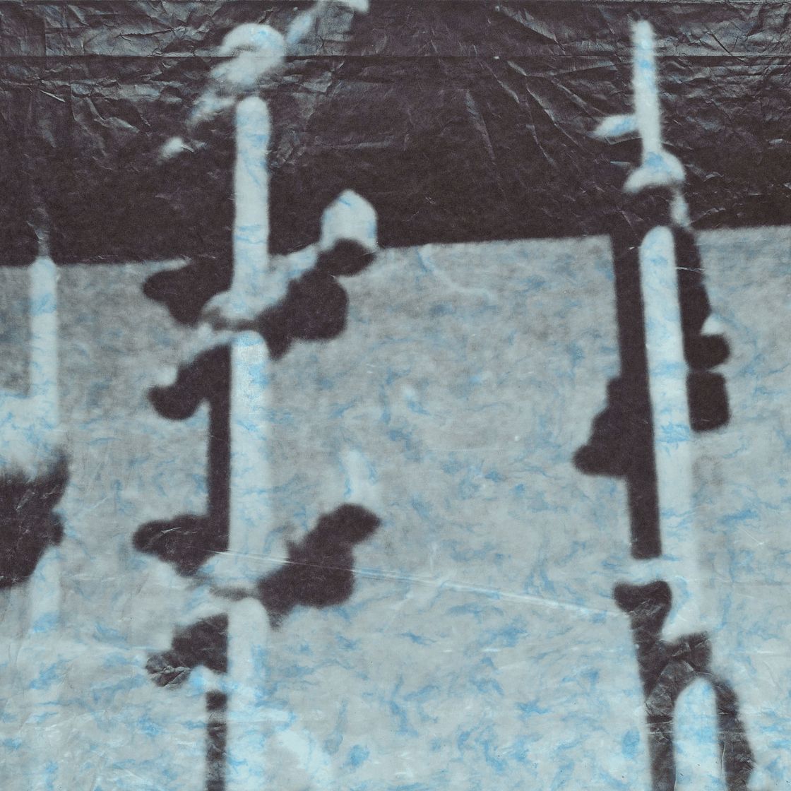 Sigmar Polke — Ферншильд (Кикер) Я, изображение 4