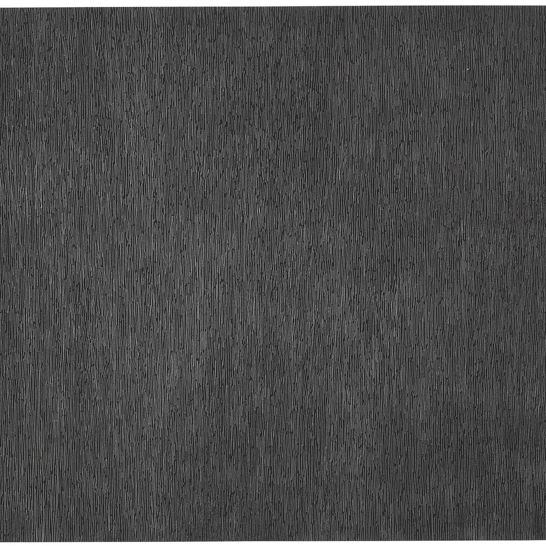 Sol LeWitt — Черный с белыми линиями, вертикальный, не соприкасающийся, из фильма "Заговор: Художник как свидетель"