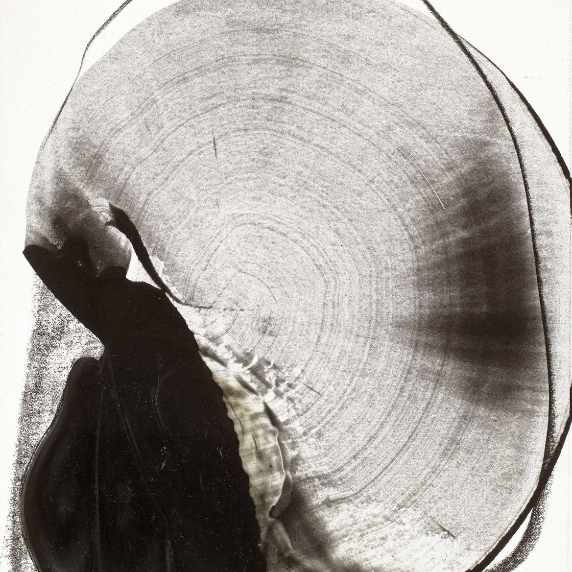 Takesada Matsutani — КРУГ ’96.12.1