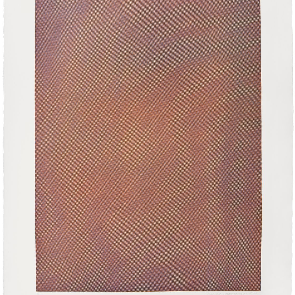 Tauba Auerbach — Сетка Муаровая I