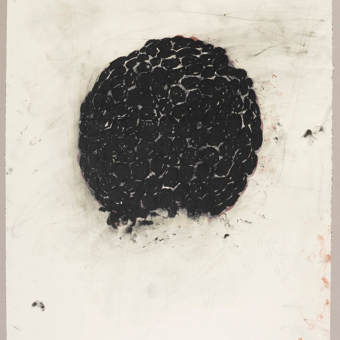 Terry Winters — Фолио, изображение 5