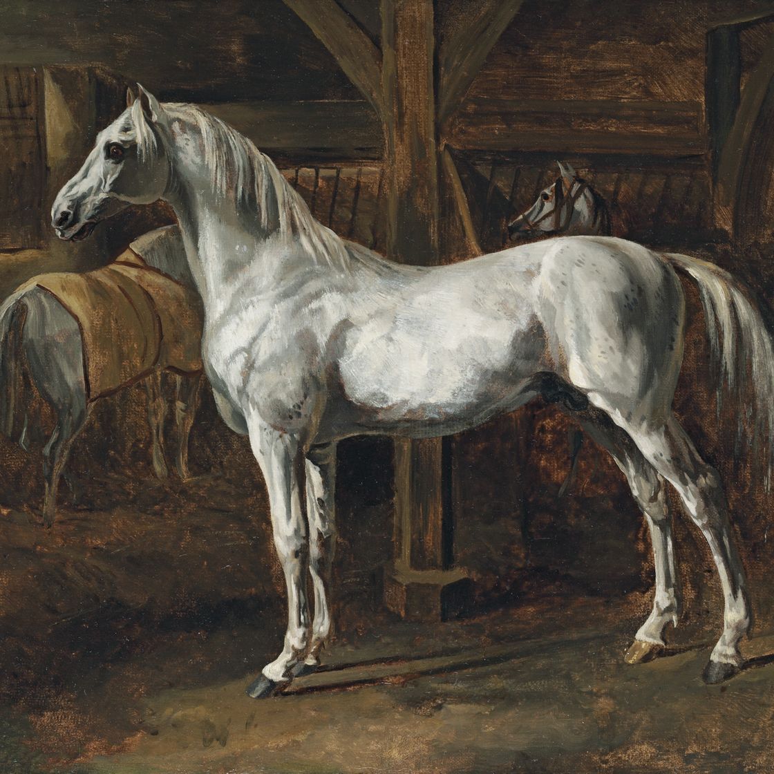 Théodore Géricault — Белый конь, дебютирующий в танце юной красавицы (Тамерлан, эталон версальских скакунов): Белый конь, стоящий в конюшне (Тамерлан, жеребец версальских конюшен)