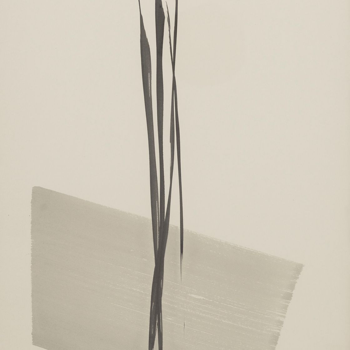 Toko Shinoda — Новый год, 2001