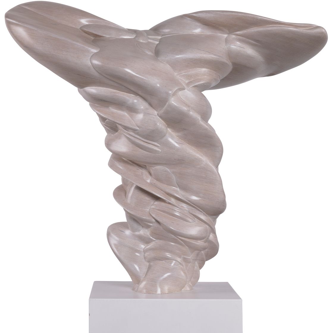 Tony Cragg — От первого лица, изображение 4