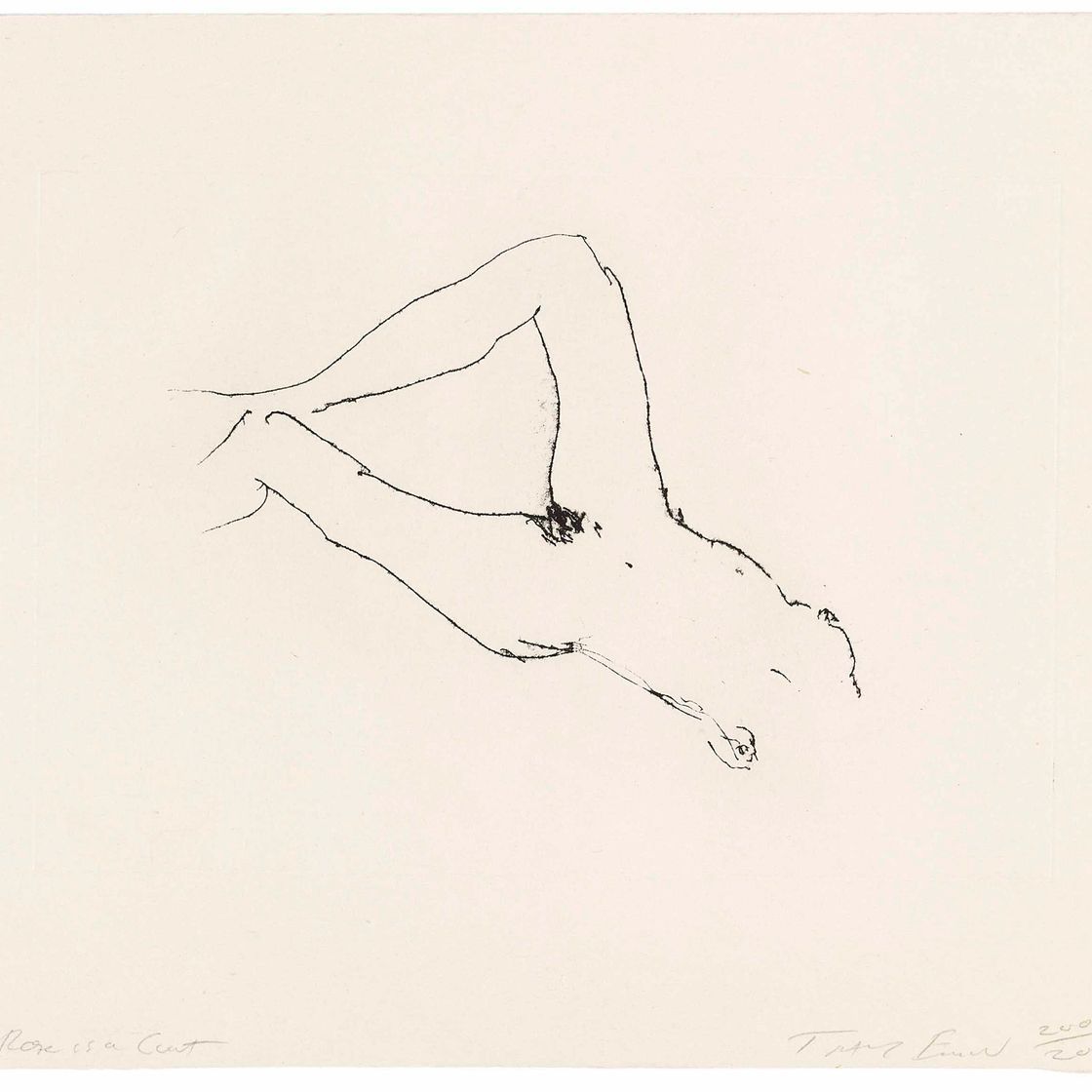 Tracey Emin — Пизда - это Роза, это Пизда, изображение 1