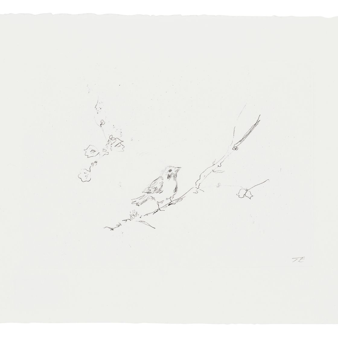 Tracey Emin — Птицы Сэма и Джея