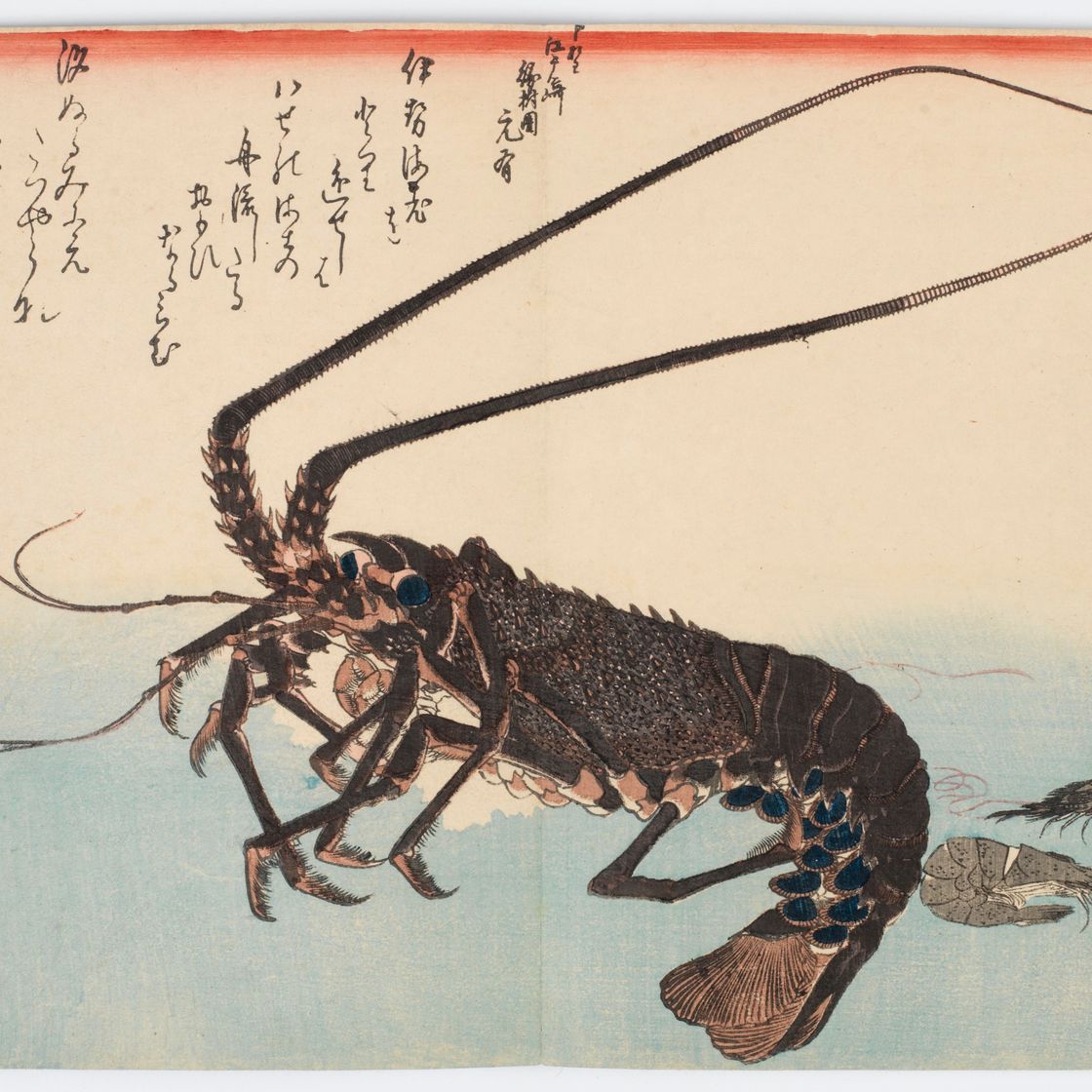 Utagawa Hiroshige — Полный набор из безымянной серии крупных рыб (Уозукуси), изображение 5