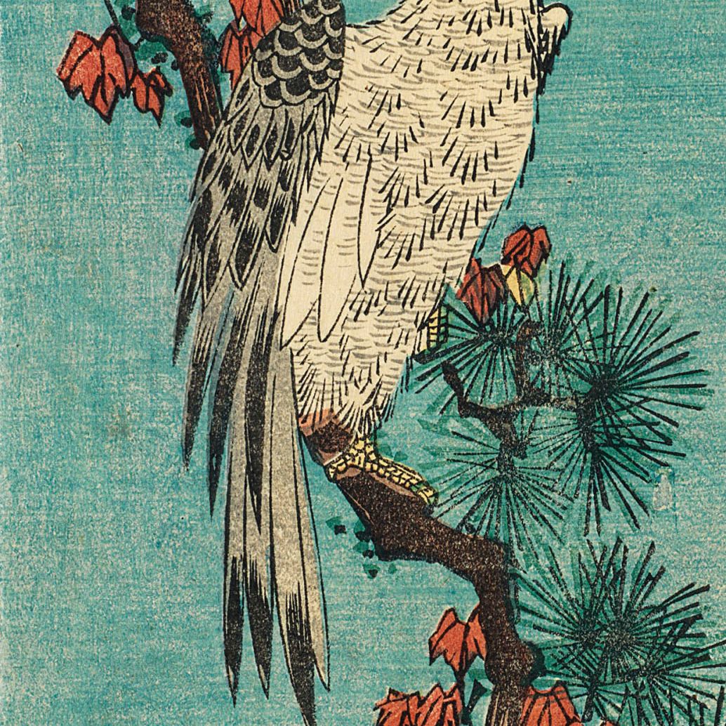Utagawa Hiroshige — Ястреб на сосновой ветке, обвитой красным плющом