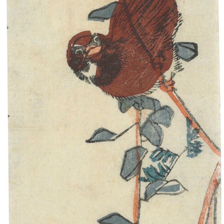 Utagawa Hiroshige — ВОРОБЕЙ И ГЛИЦИНИЯ