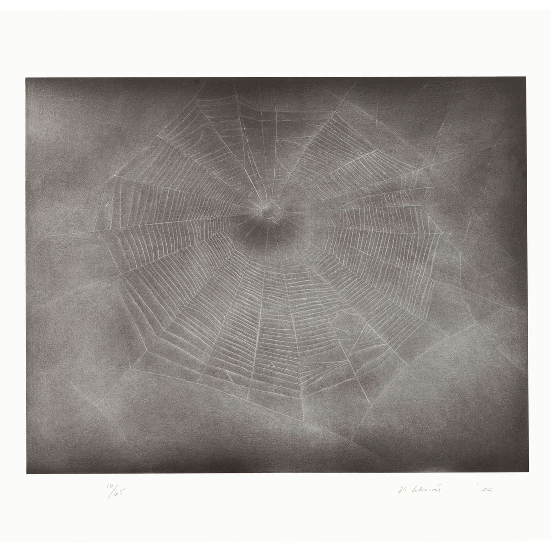 Vija Celmins — Без названия (Web 3)
