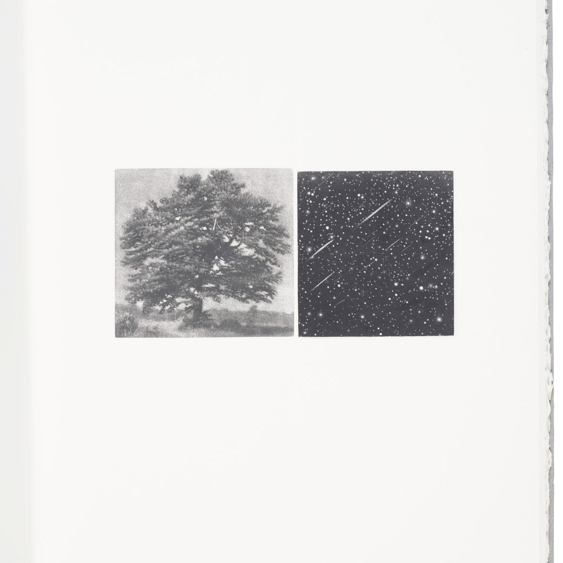 Vija Celmins — Вид из окна, изображение 2