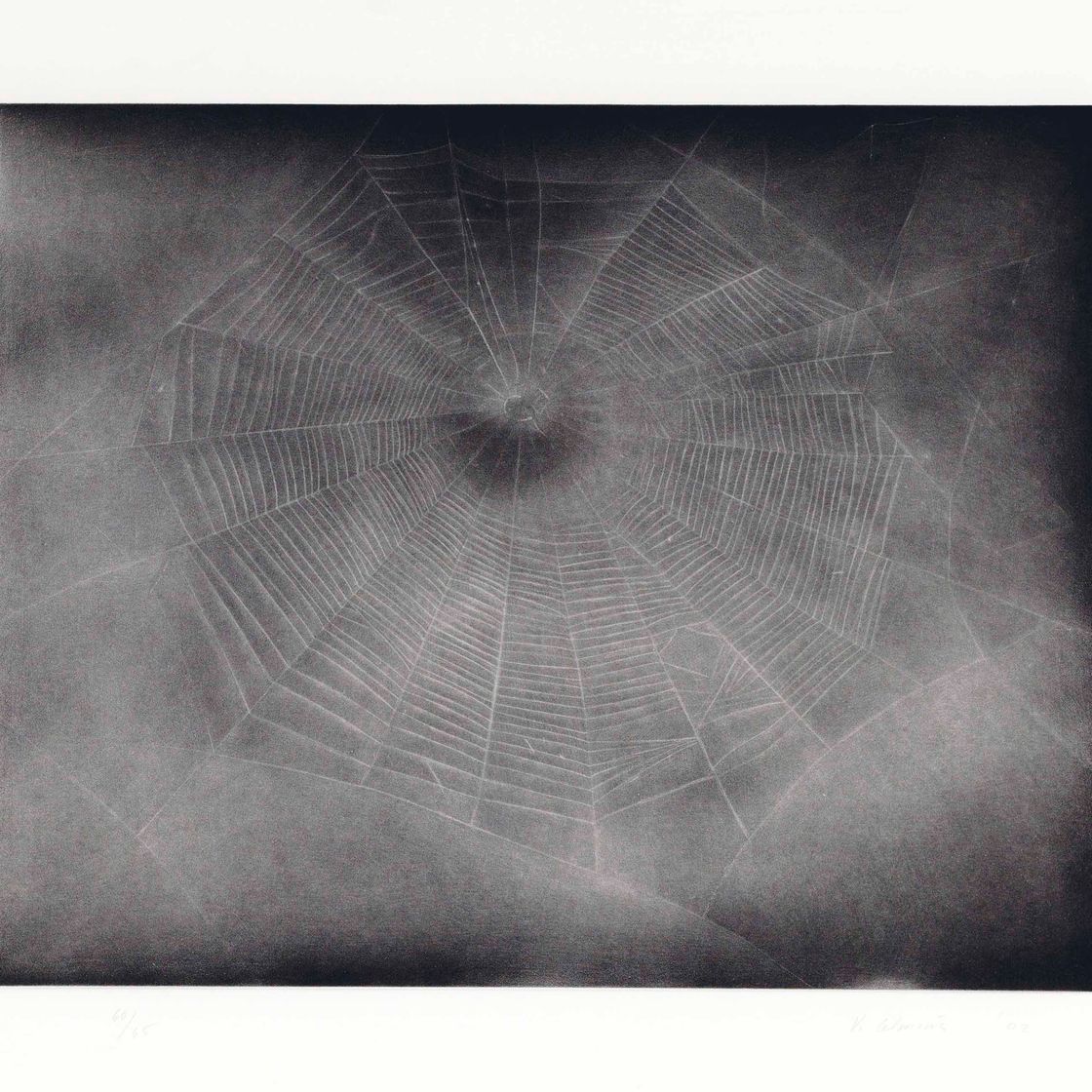 Vija Celmins — Без названия (Web 3)