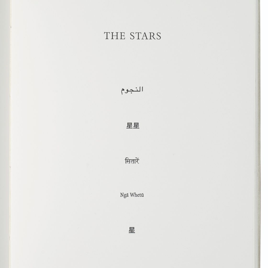 Vija Celmins — Звезды, изображение 3