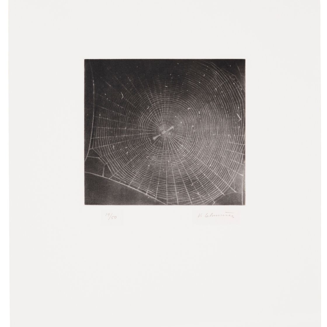 Vija Celmins — Без названия (Web 2), изображение 1