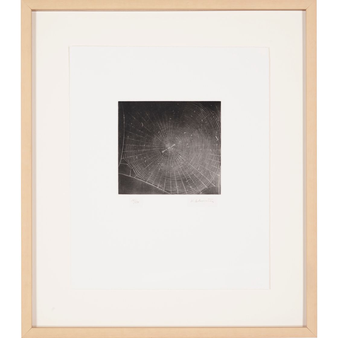 Vija Celmins — Без названия (Web 2), изображение 2