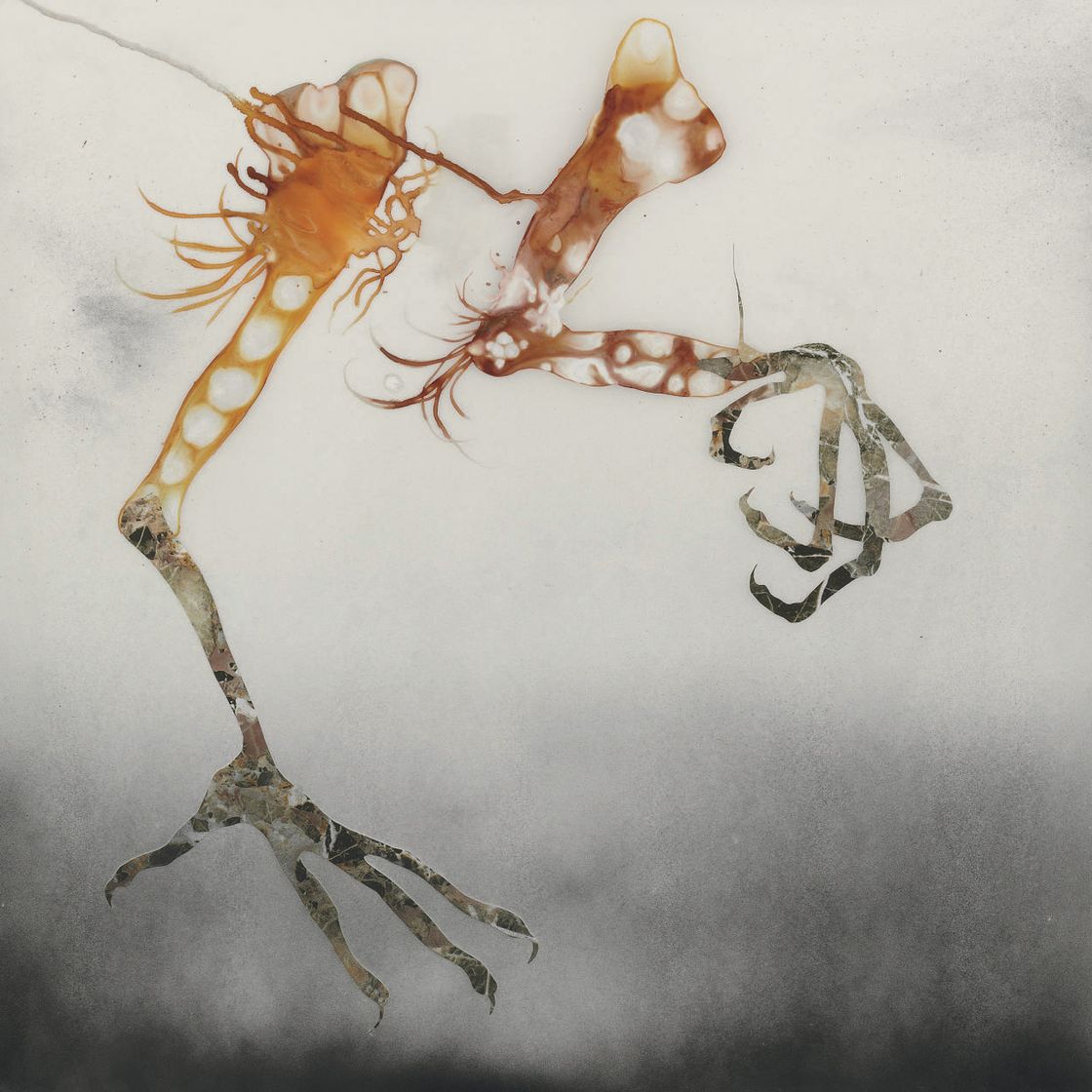 Wangechi Mutu — Без названия
