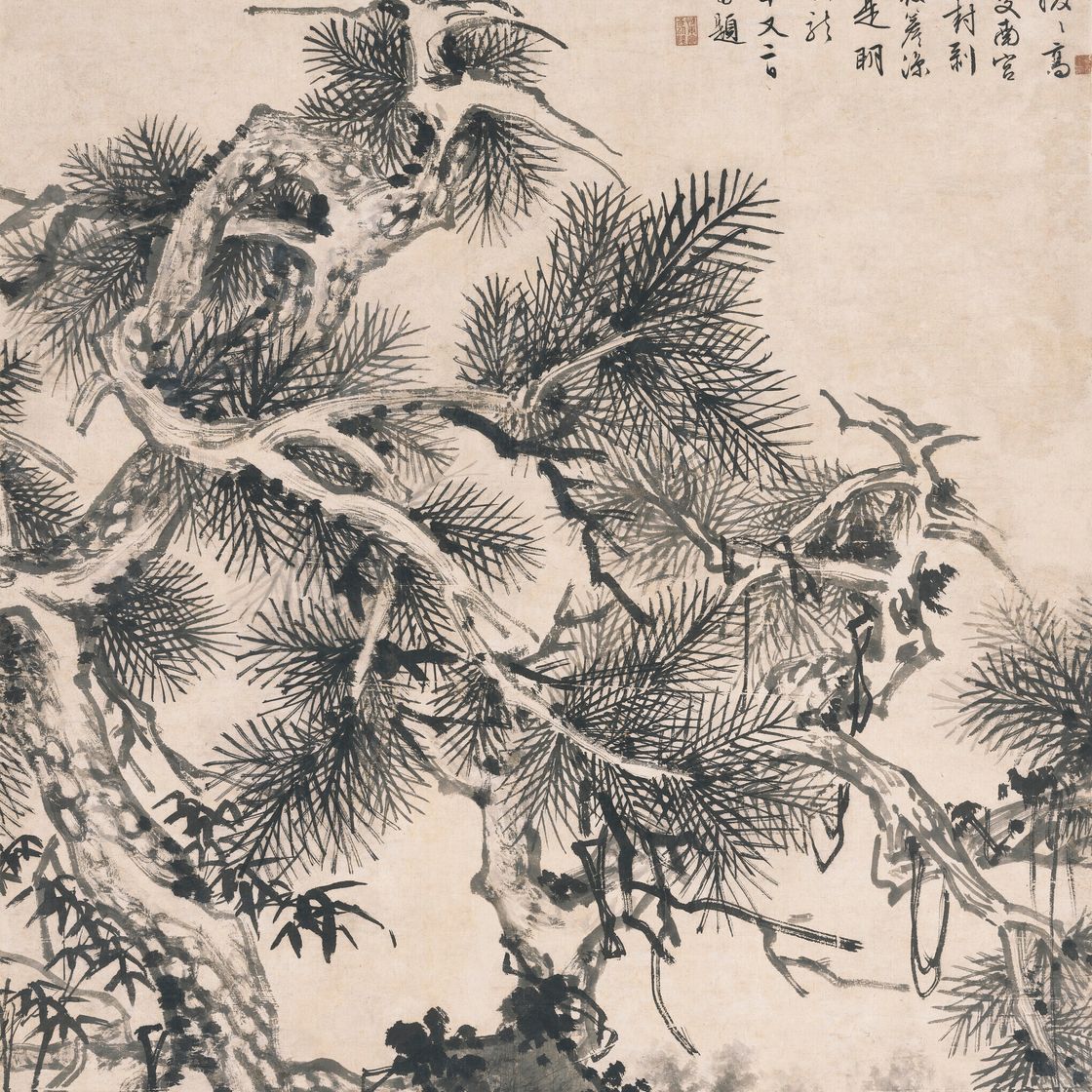 Wen Zhengming — Чернильная сосна, изображение 1