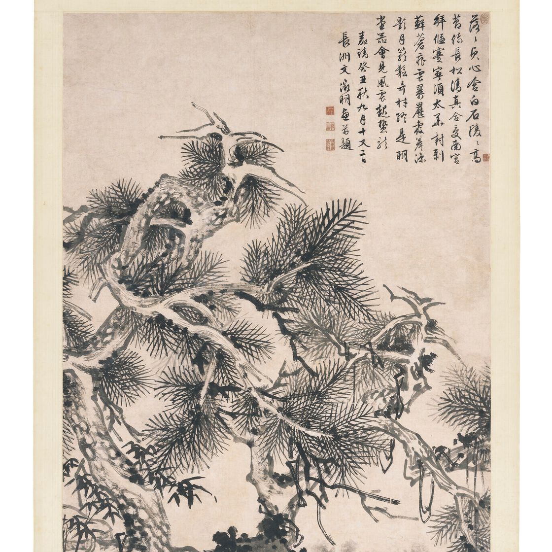 Wen Zhengming — Чернильная сосна, изображение 2