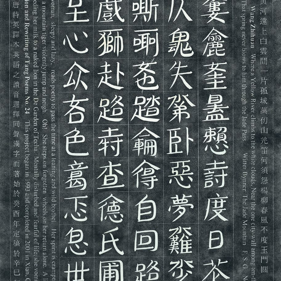 Wenda Gu — Лес каменных стел